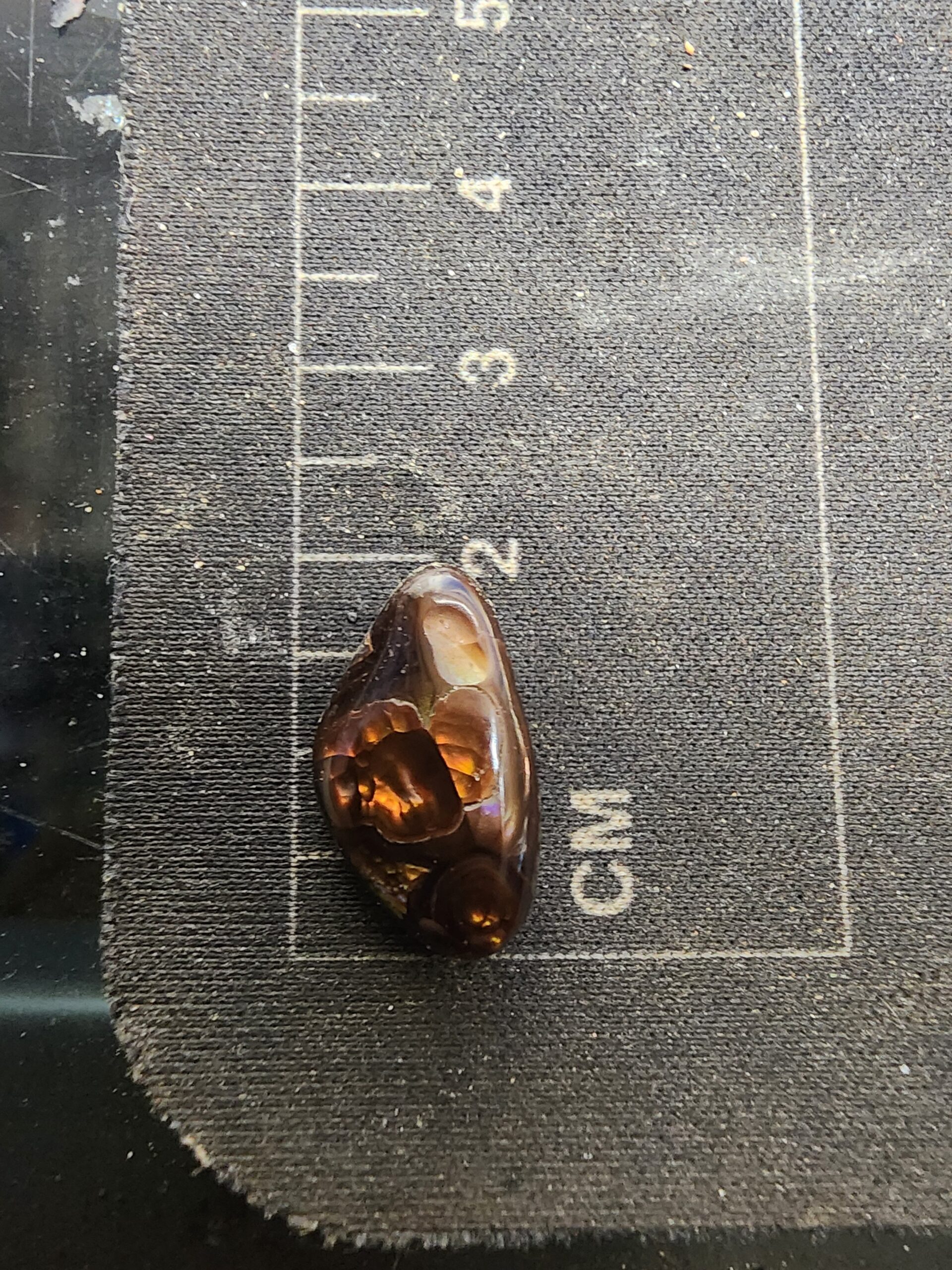 Fire Agate Cabochon — Hand-Carved, Sustainably Mined | 7.8ct | 19x11mm| Imperial Grade | Rare Butterfly Wing