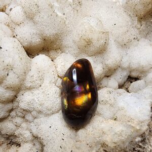 310 5ct 13x9mm Freeform Fire Agate Cabochon -Rainbow Flash