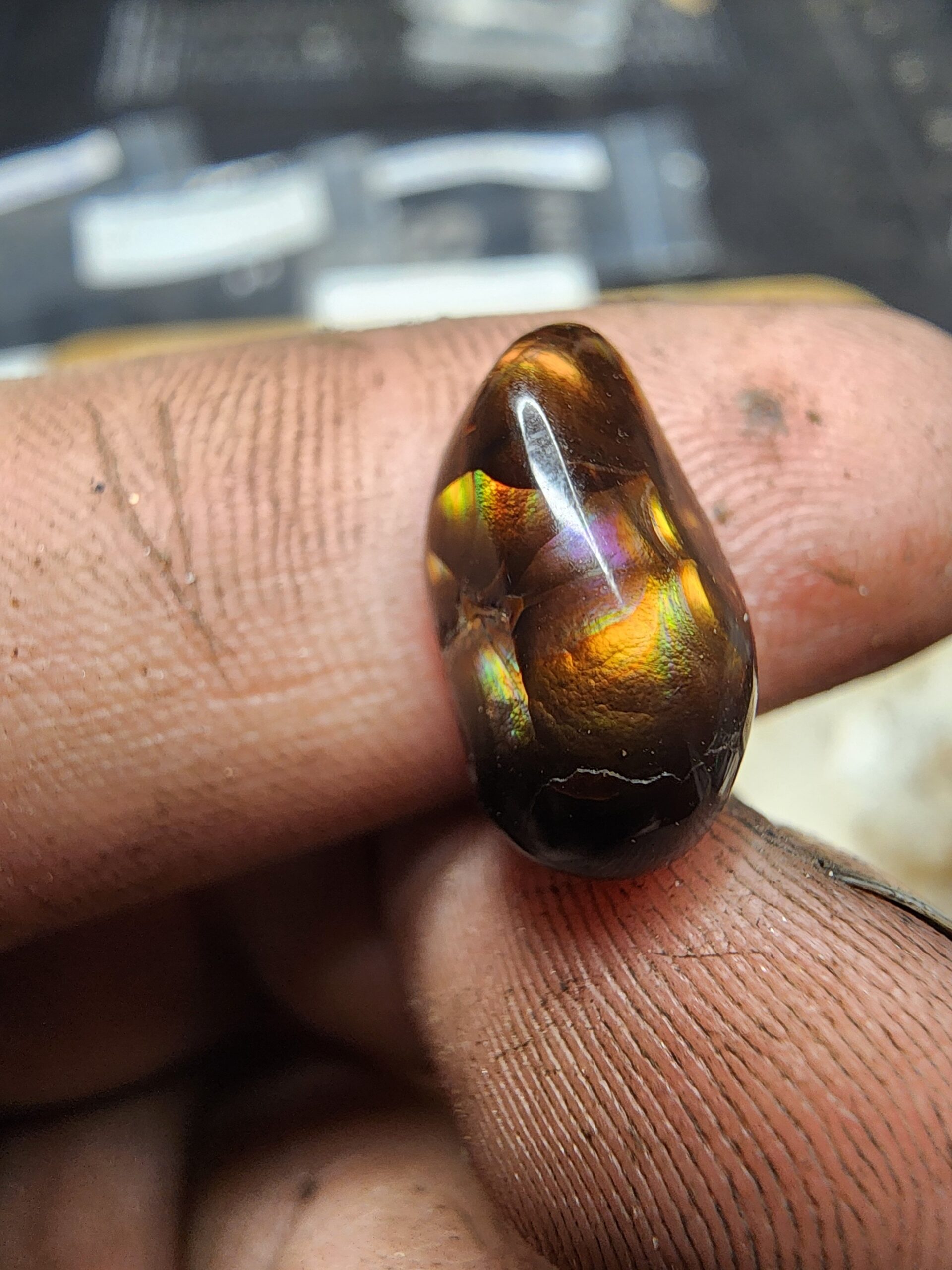 310 5ct 13x9mm Freeform Fire Agate Cabochon -Rainbow Flash