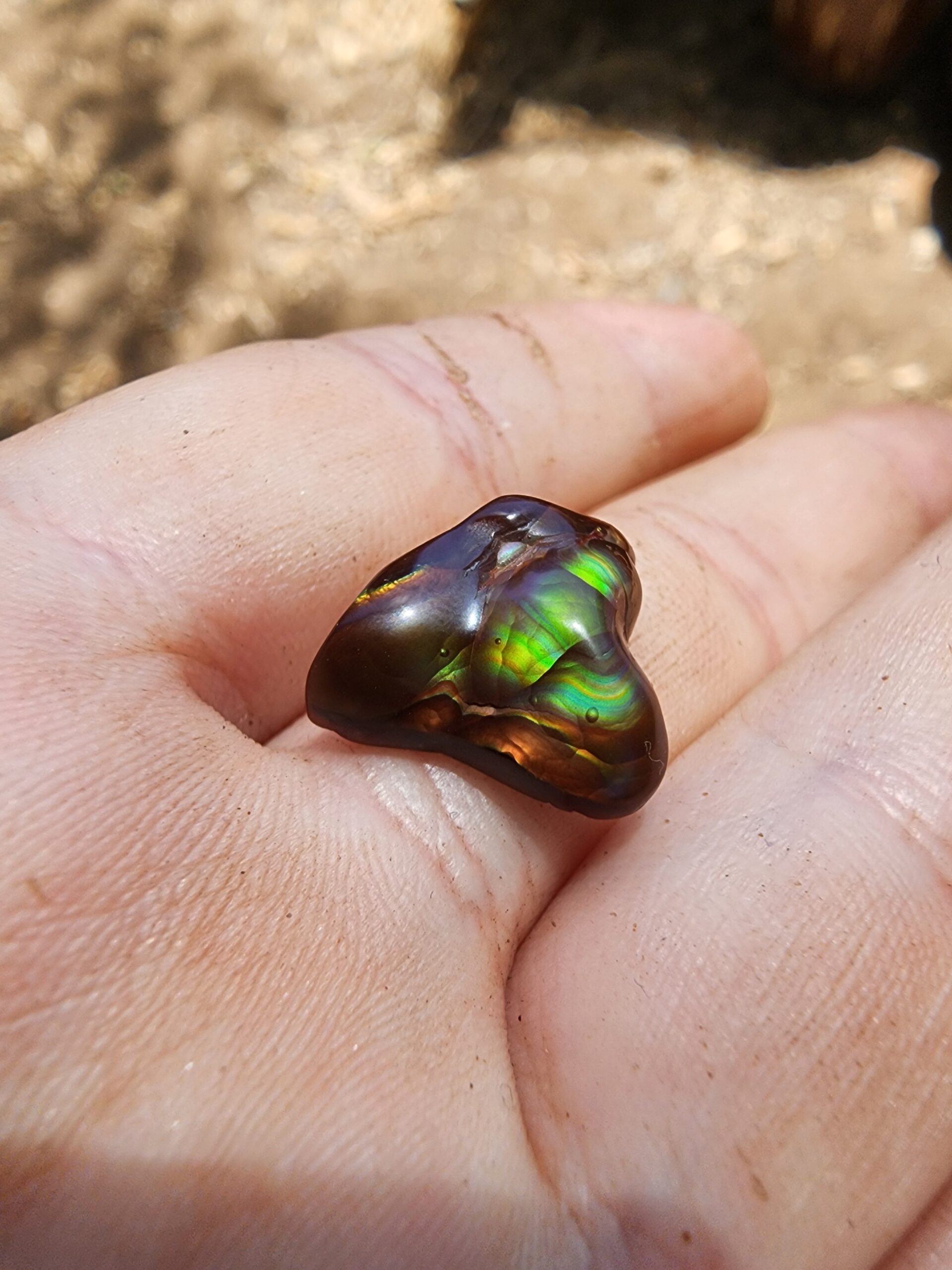 8.3ct Polished Triangle Fire Agate Cabochon
