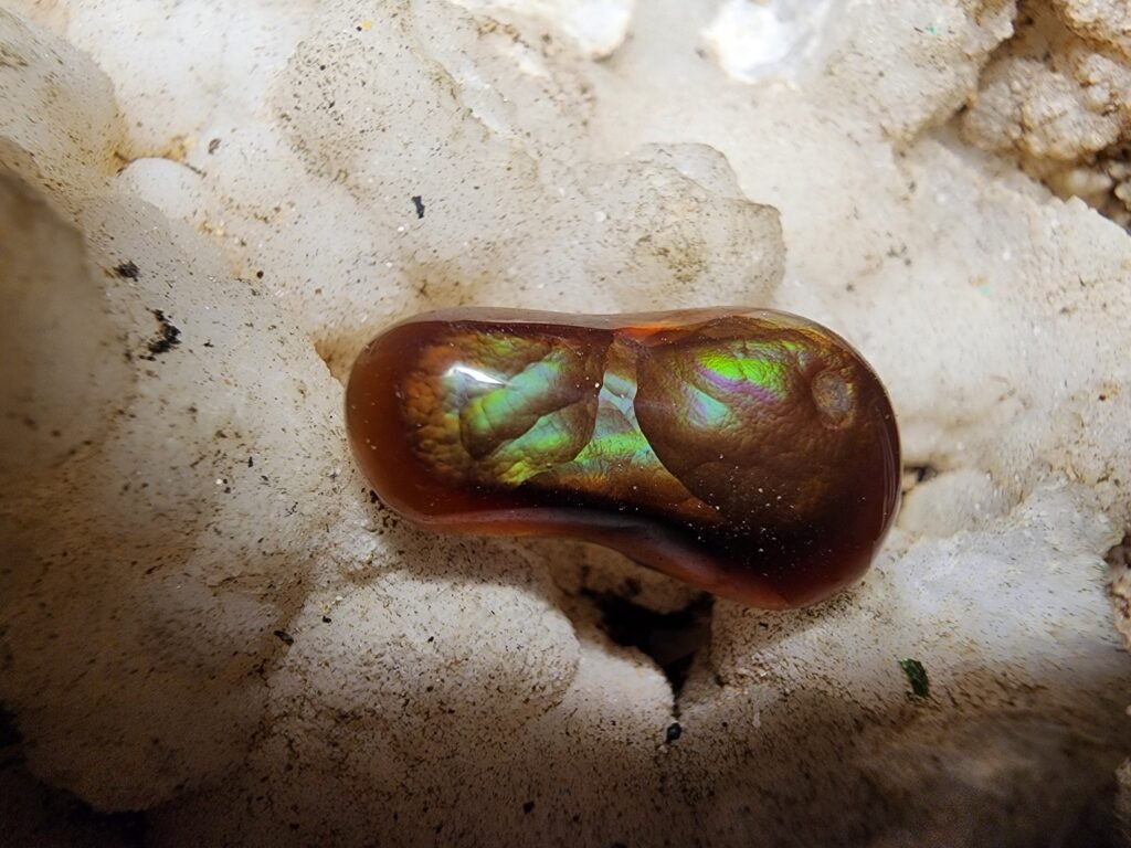 9.9ct Imperial grade free form Fire Agate