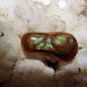 9.9ct Imperial grade free form Fire Agate