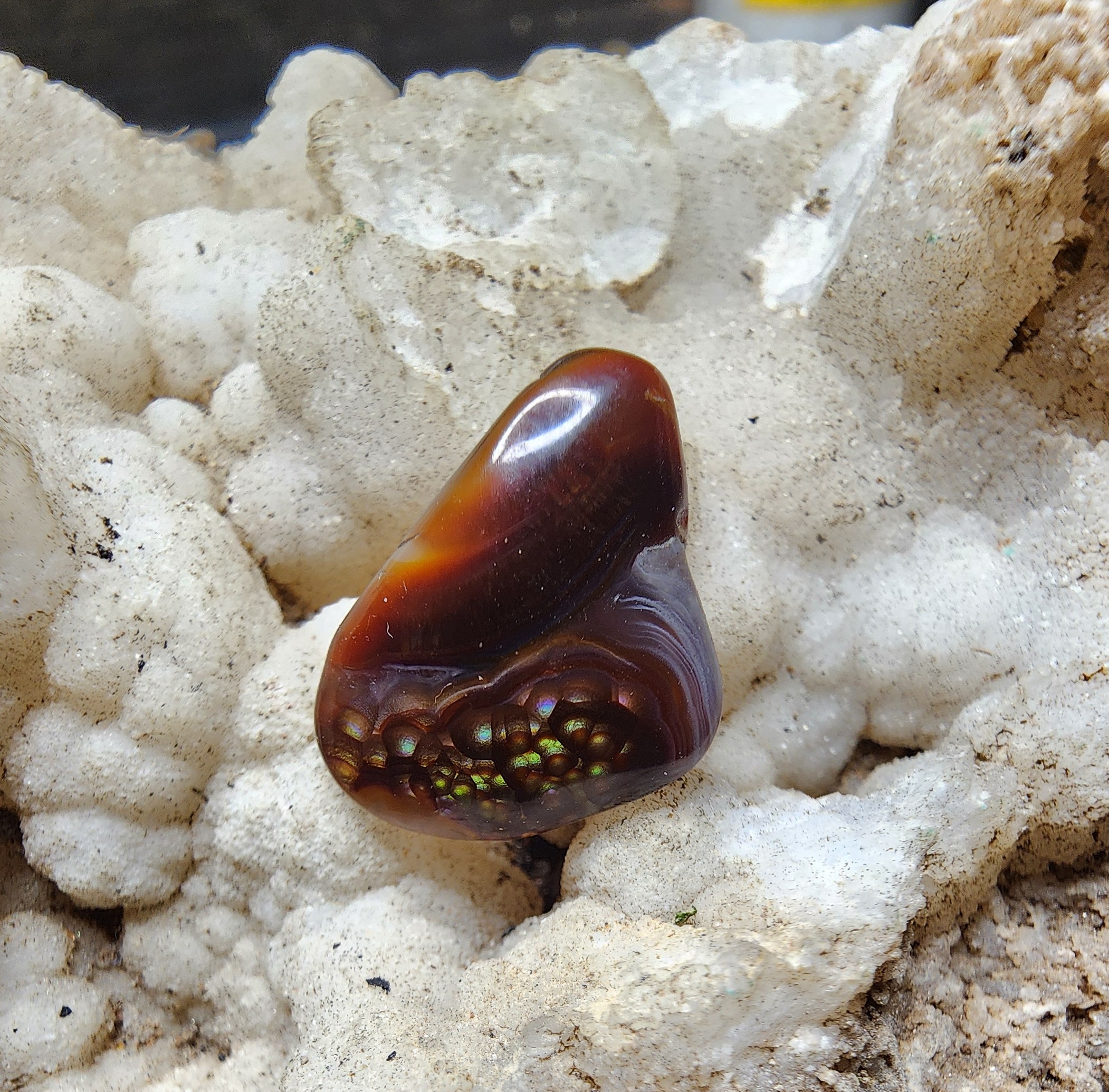 #311 — Fire Agate Cabochon, 11.11ct (18x16mm)